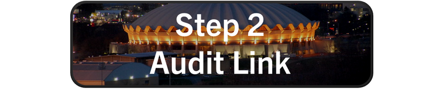 Step 2 Audit Link